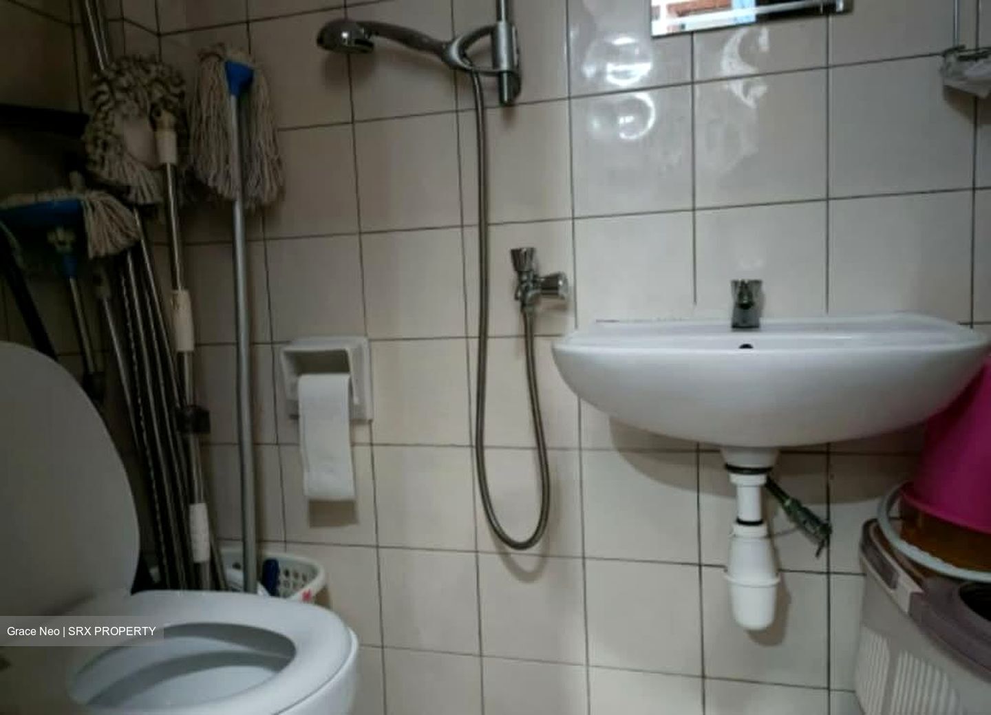 Carissa Park Condominium (D17), Condominium #566438661